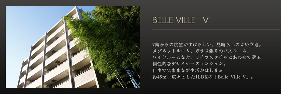 BELLE VILLE V